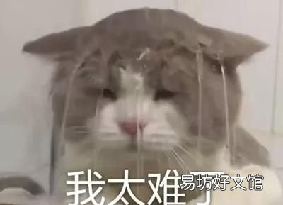 化妆品与护肤品:“速救舒压小棕瓶”怎么用,才能发挥最大效用?
