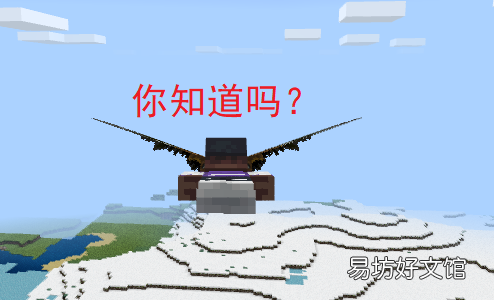 能够飞起来的五种办法 我的世界翅膀怎么飞起来