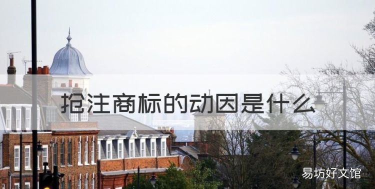 抢注商标的动因是什么,中国商标被外国抢注有哪些