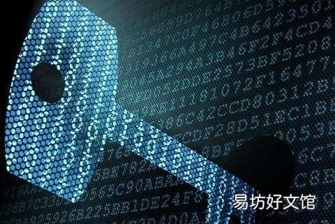 素数的概念，小学数学为什么要介绍素数的概念呢
