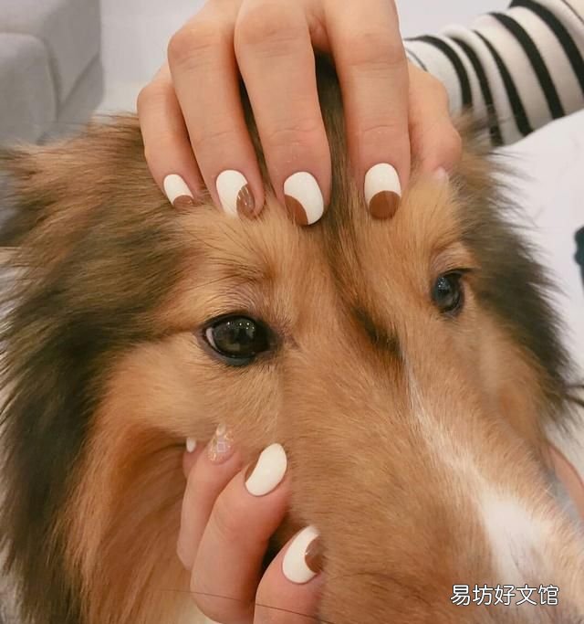 美甲彩绘图案,你们做过美甲吗?什么图案的好看呢