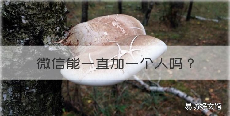 微信能一直加一个人,微信每天加同一个人到了八次还加的了嘛