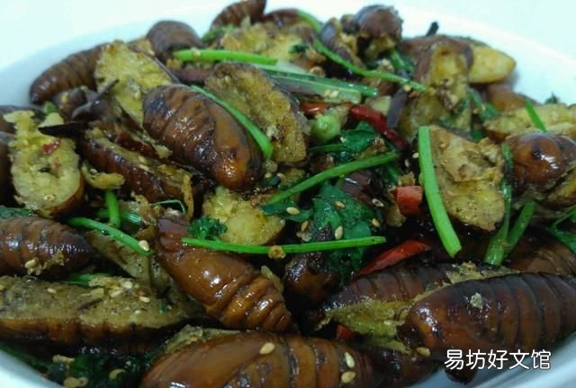 蚕蛹图片 茧蛹中的黑色东西到底是什么?