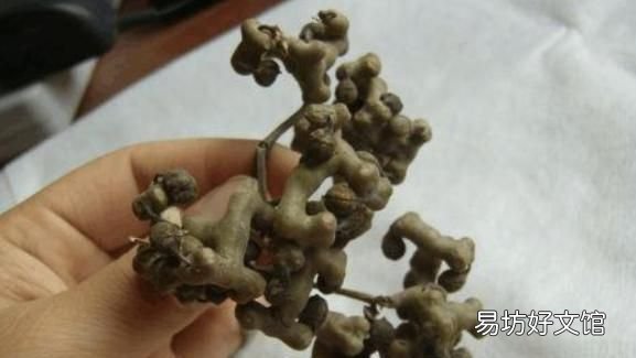 鸡脚的营养价值:鸡爪梨有哪些营养价值?