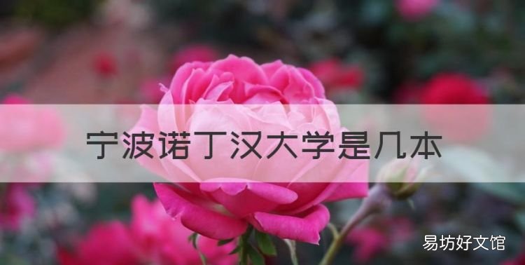 宁波诺丁汉大学是几本