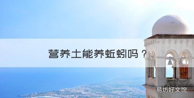 营养土能养蚯蚓,营养土可以和蚯蚓泥一起种菜吗