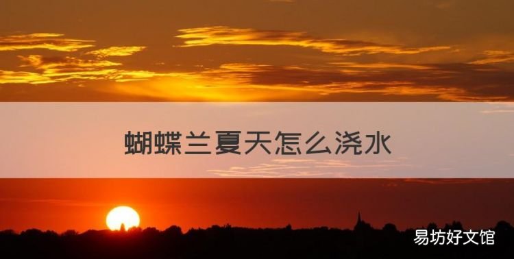 蝴蝶兰夏天怎么浇水,蝴蝶兰怎么浇水多长时间浇一次