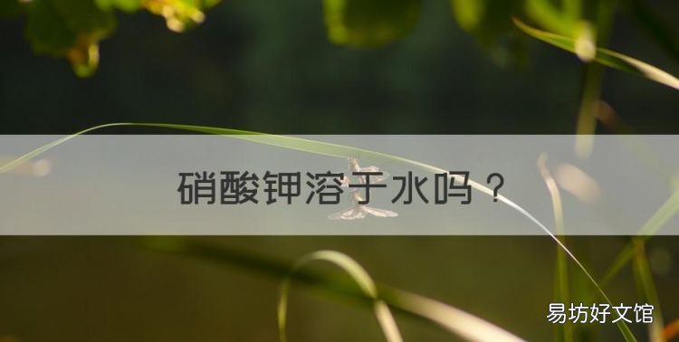 硝酸钾溶于水
