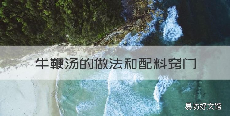 清炖牛鞭煲汤怎么做法,牛鞭汤的做法和配料窍门