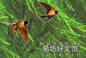 “树欲静而风不止”是什么意思? 树欲静而风不止下句