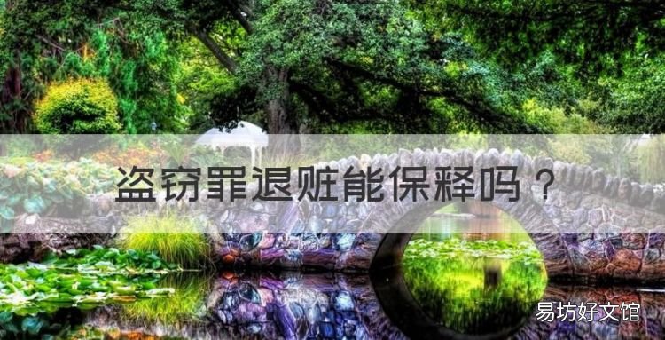 盗窃罪退赃能保释,盗窃罪可以取保候审吗,还是等着判刑