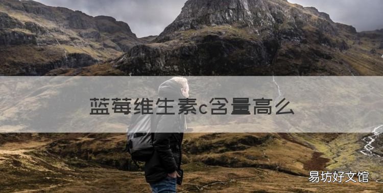 蓝莓维生素c含量高么,豆腐中富含的营养素是什么
