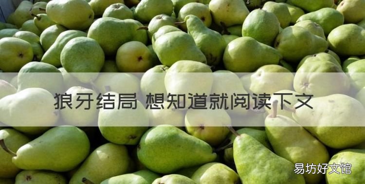 狼牙结局 想知道就阅读下文