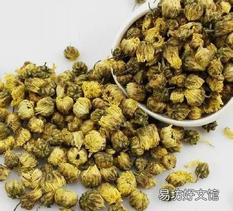 胎菊王的作用与功效