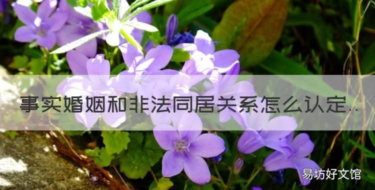 事实婚姻和非法同居关系怎么认定