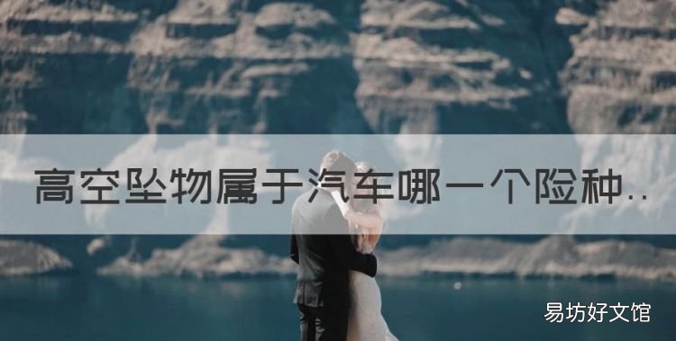 高空坠物属于汽车哪一个险种