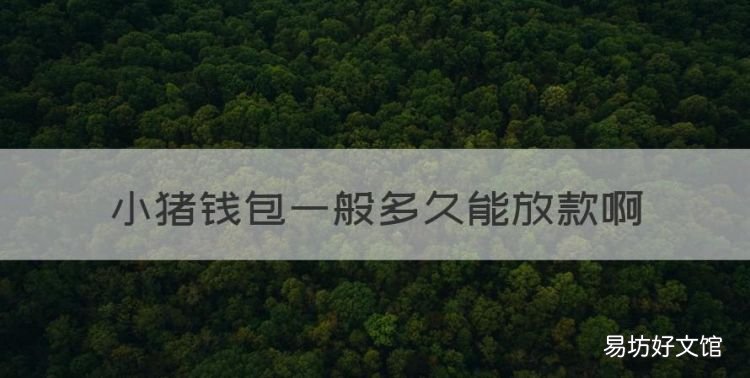 小猪钱包一般多久能放款