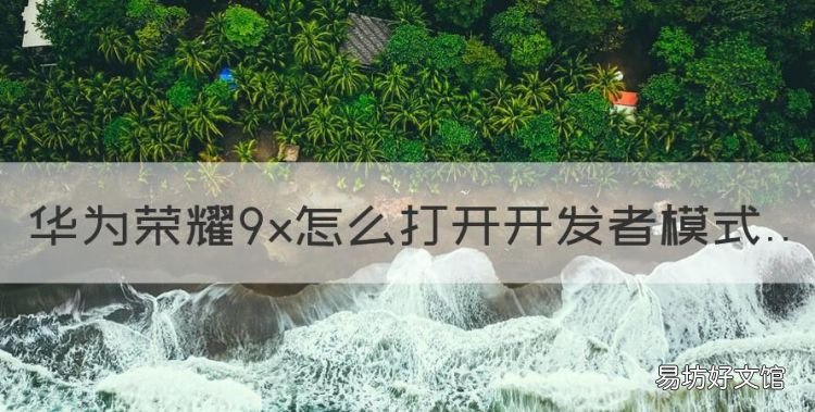 荣耀9x开发者选项在哪里打开,华为荣耀9x怎么打开开发者模式