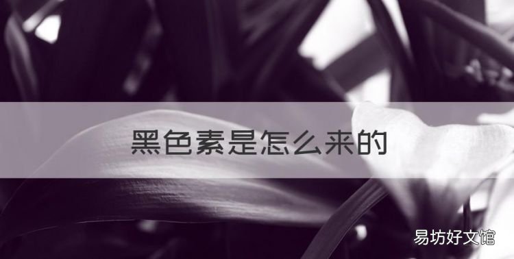 黑色素是怎么来的,皮肤上面的黑色素怎么退