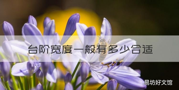 台阶宽度一般多少合适,幼儿园台阶的尺寸一般是多少