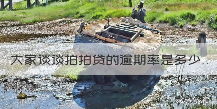 大家谈谈lga肾炎是如何治愈的，大家谈谈拍拍贷的逾期率是多少