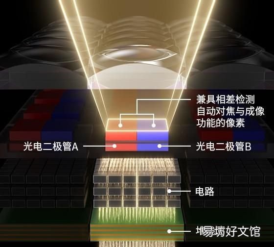 五寸照片大小 佳能eosr5和r6怎么选