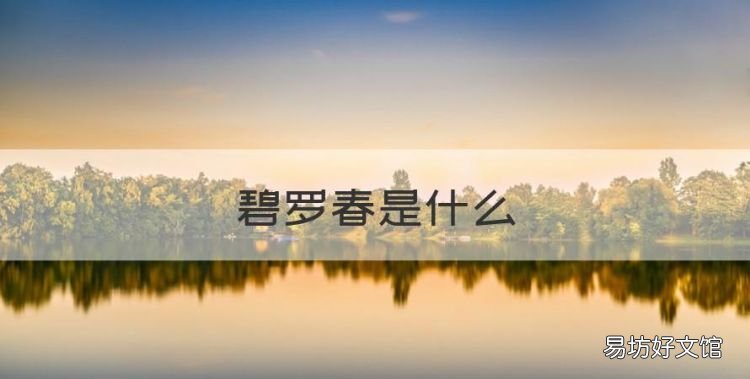 碧罗春是什么,碧螺春龙井黄山毛峰哪种最好饮