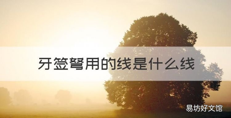 牙签弩用的线是什么线