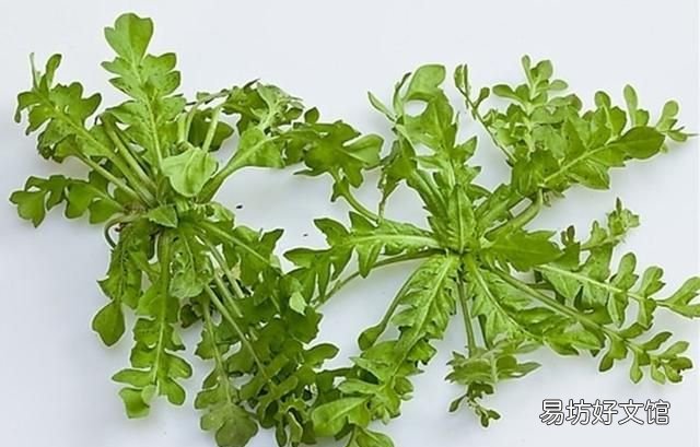荠菜的营养价值有哪些? 荠菜的营养价值