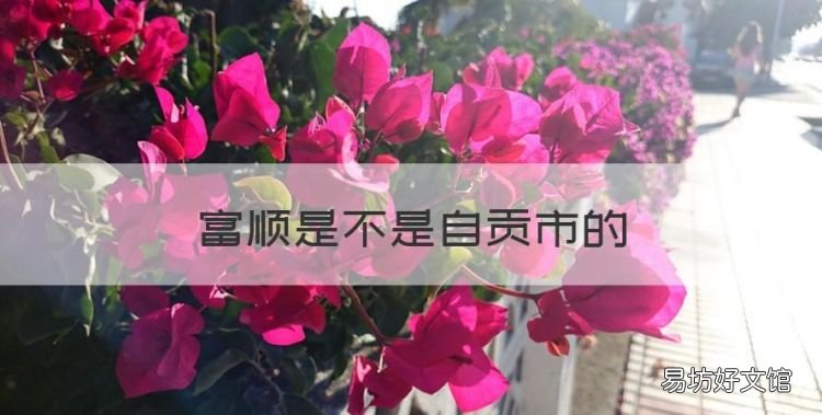 富顺是不是自贡市的，四川省富顺县属于哪个区