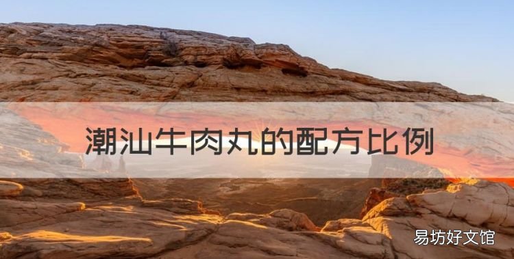 潮汕牛肉丸的配方比例,正宗潮汕牛肉丸配方是什么?
