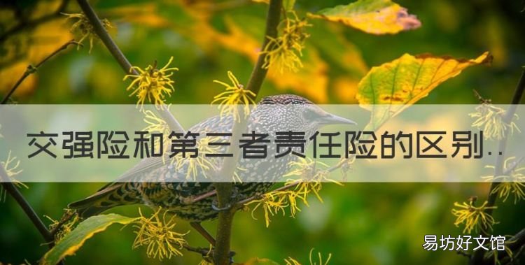 第三者责任险交强险的区别,交强险和第三者责任险的区别