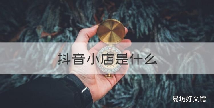 抖音小店是什么,抖音小店和商品橱窗切换显示