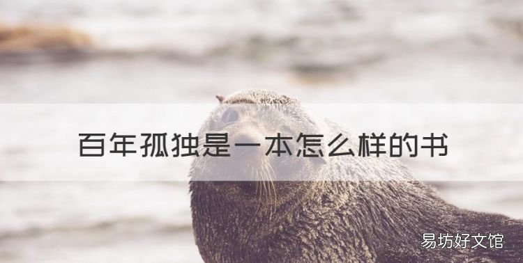 《百年孤独》想表达什么,百年孤独是一本怎么样的书
