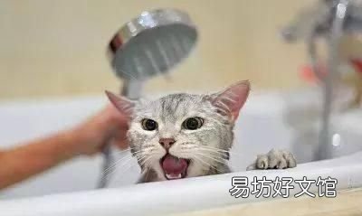 从身上搓出来的"泥"到底是什么?