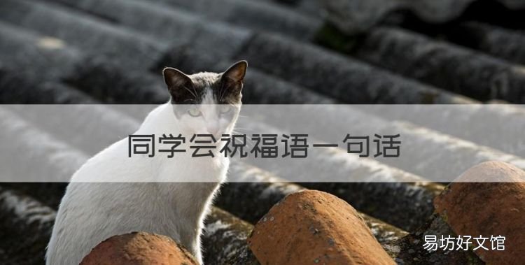同学会祝福语一句话,同学聚会祝福语大全简短