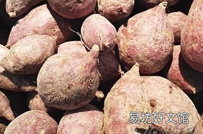 红薯烂了切掉还能吃吗?为什么呢