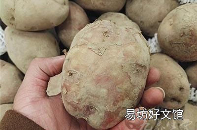 红薯烂了切掉还能吃吗?为什么呢