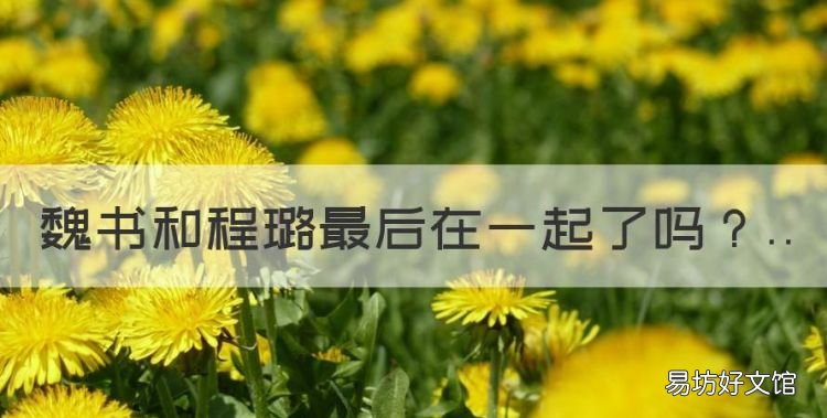 魏书和程璐最后在一起了,谁说我结不了婚中程璐最后和谁在一起