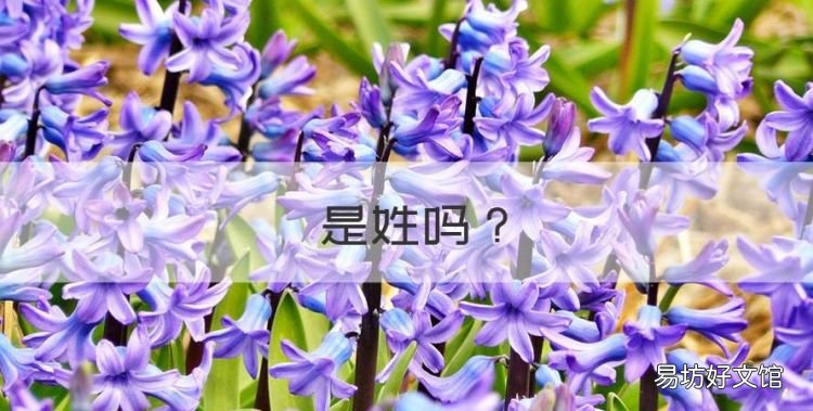 倝是姓，韩姓的来历 简略