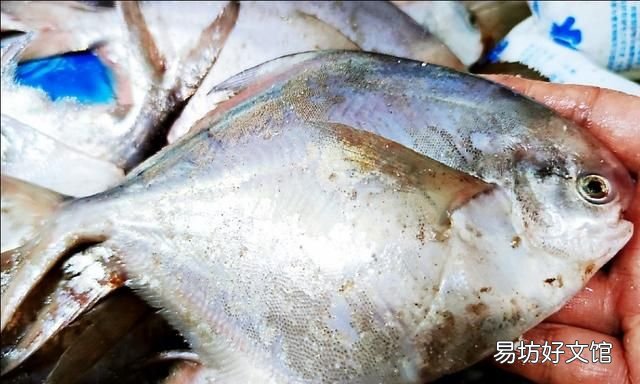 白鲳鱼有什么营养价值 鲳鱼怎么做好吃?