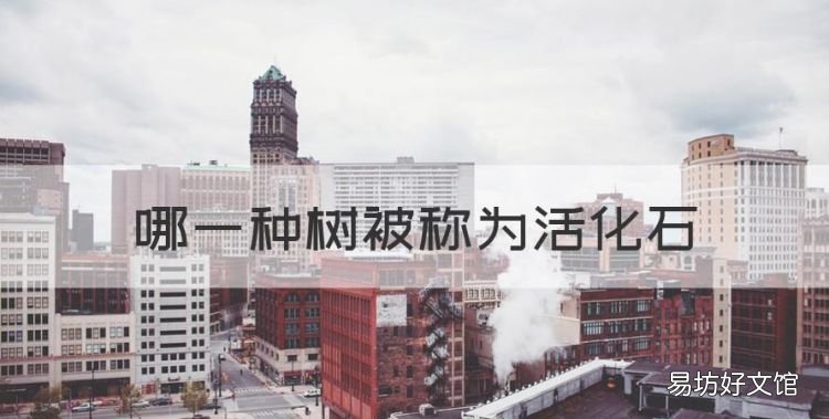 哪种树称为活化石树,哪一种树被称为活化石