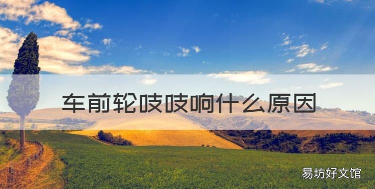 车前轮吱吱响什么原因