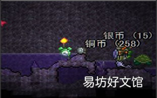 泰拉瑞亚海盗弯刀怎么获得,泰拉瑞亚手机版海盗入侵条件