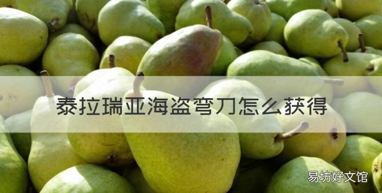 泰拉瑞亚海盗弯刀怎么获得,泰拉瑞亚手机版海盗入侵条件