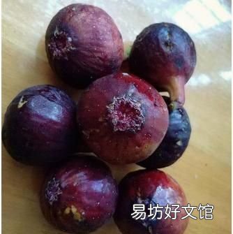无花果干怎么保存:如何保存无花果?