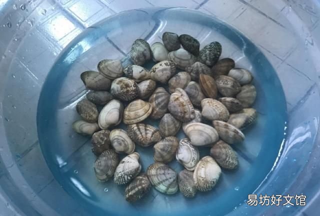 怎么样让花甲快速吐沙