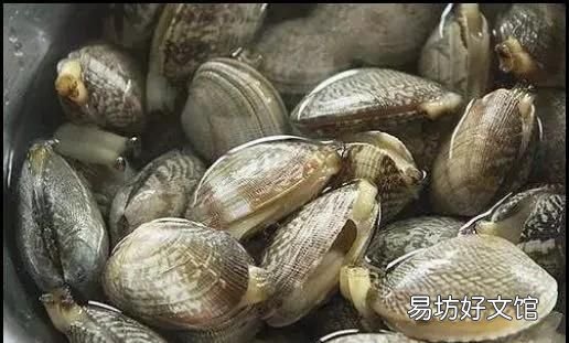 怎么样让花甲快速吐沙