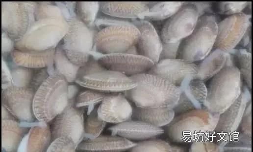 怎么样让花甲快速吐沙