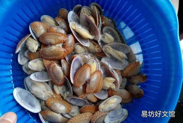 怎么样让花甲快速吐沙